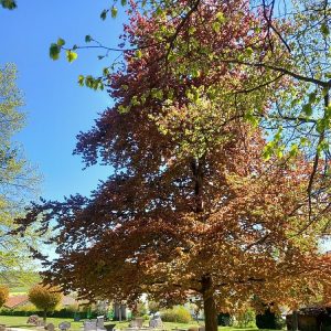 Trauer Peter Müller 3